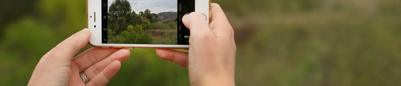مسیر آموزشی ارتقاء مهارت های عکاسی با موبایل - Image of Learn Path Improve Your Mobile Photography Skills