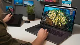 مسیر آموزشی بهبود مهارت های عکاسی زیر آب خود - Image of Learn Path Improve Your Underwater Photography Skills